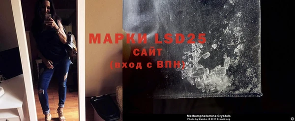 индика Беломорск