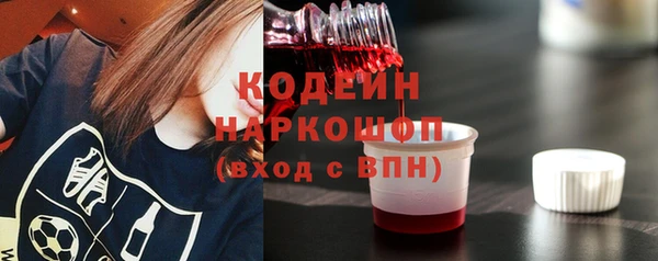 индика Беломорск