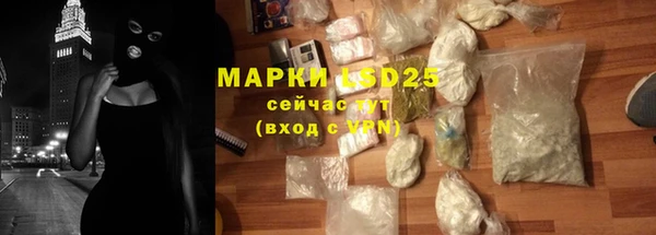 индика Беломорск