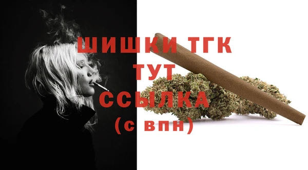 индика Беломорск