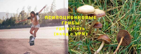 индика Беломорск