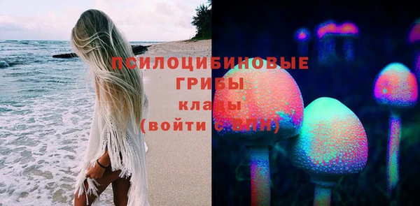 индика Беломорск