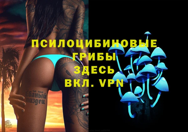 индика Беломорск