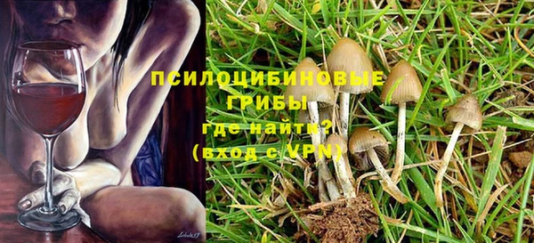 MDMA Белокуриха