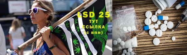 индика Беломорск